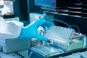 EHFt_RsWoAEsf6b_flipped