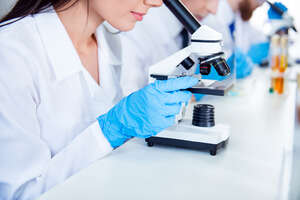 Lab assistants using microscopes