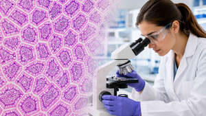 Histologist looking through microscope